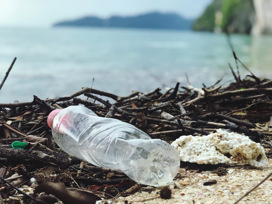 Leading UK marine scientists welcome the move towards a global plastics pact ahead of major UN meeting