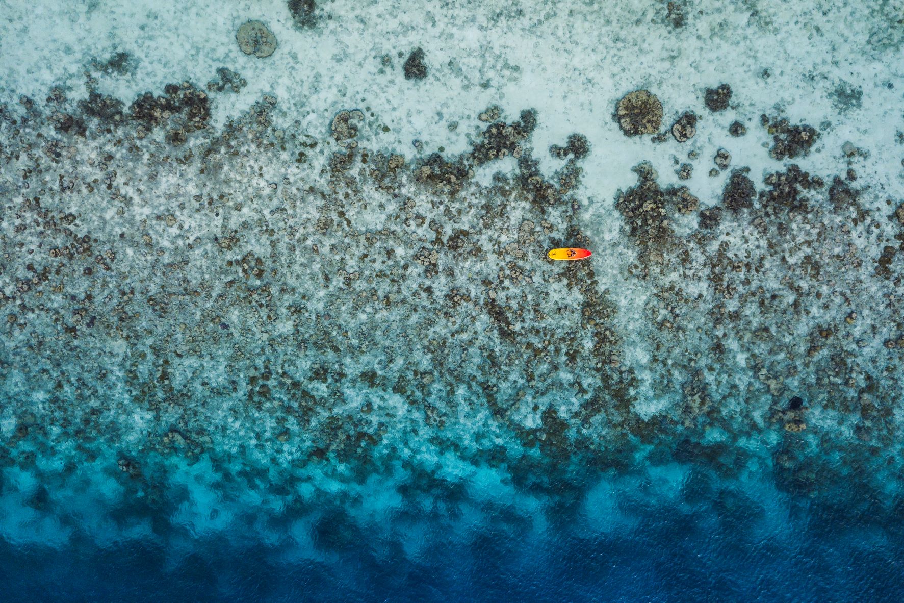 Paddleboarder from above