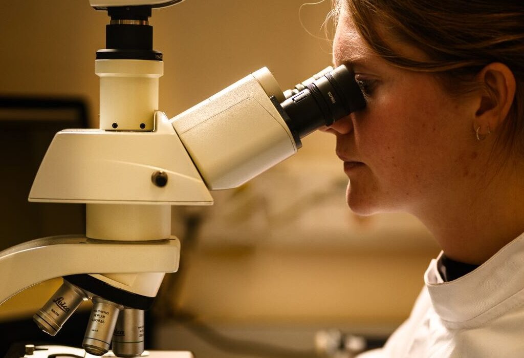 Microscope work