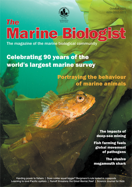 The Marine Biologist front cover