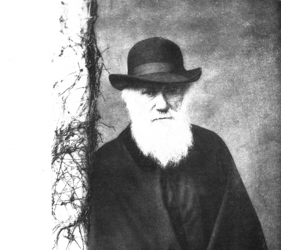 charles darwin