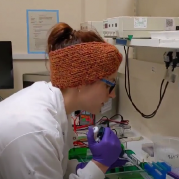 labwork