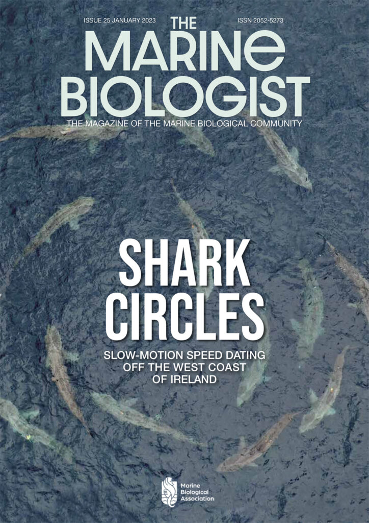 The Marine Biologist Magazine January 2023. Shark Circles