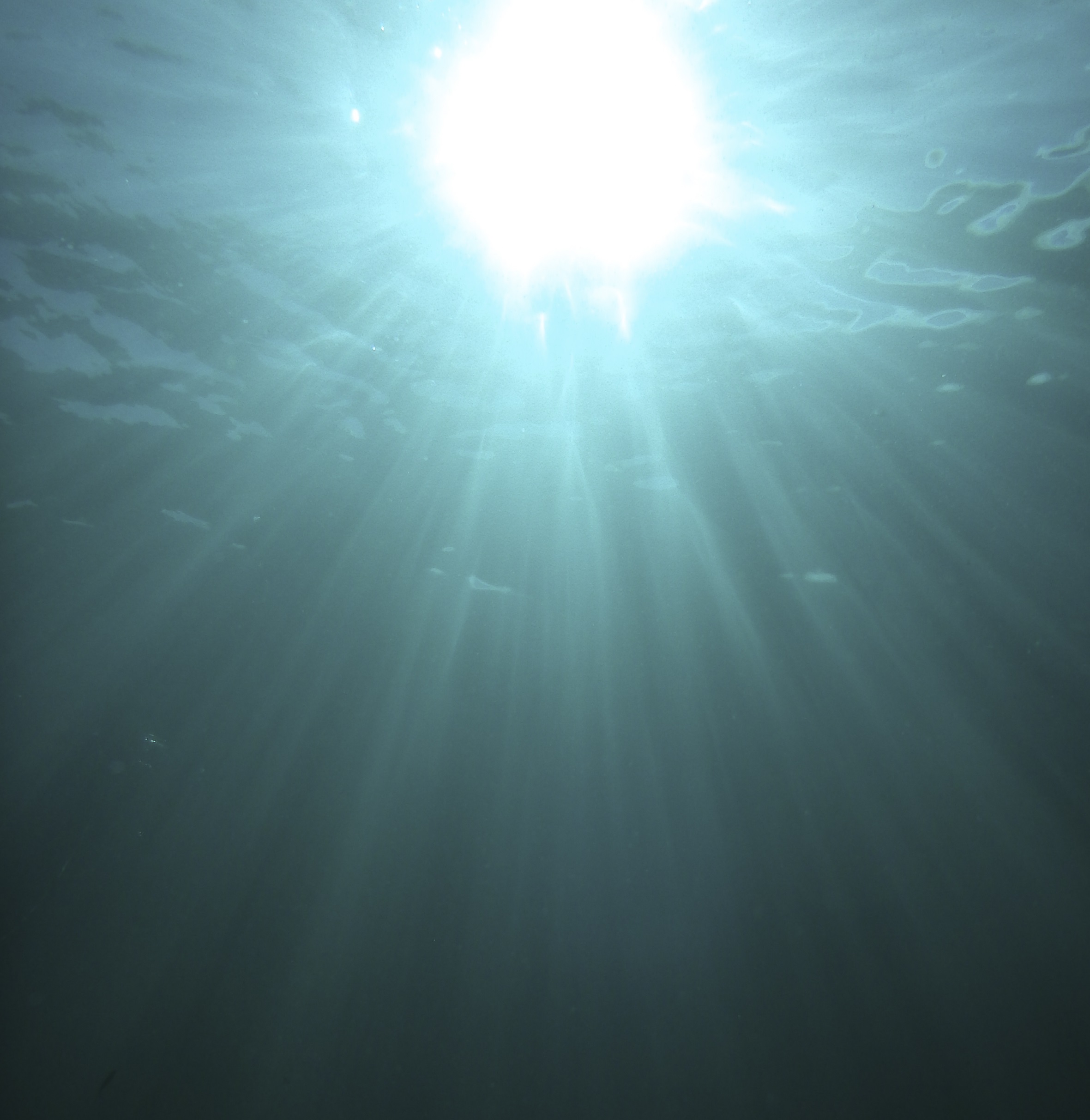 Sun rays on the ocean water