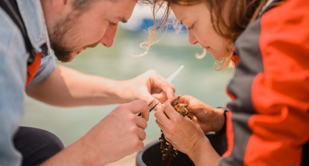 Darwin Tree of Life Foreshore Sample Collection. Research scientists crouching over samples collected from the beach.