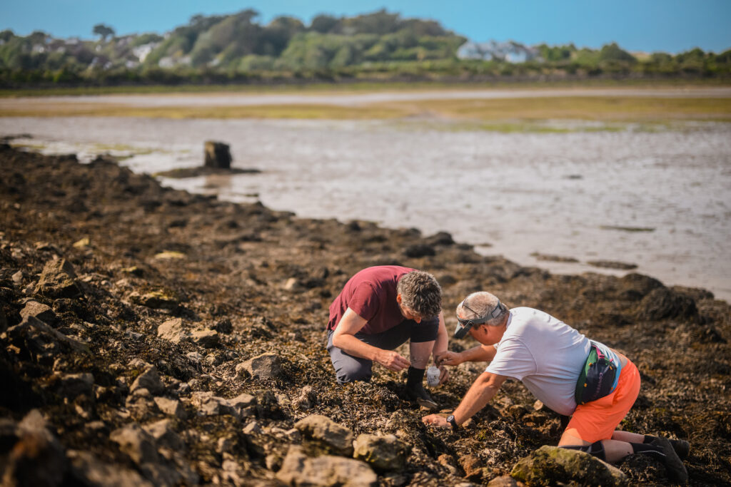 Scientists crouching on Darwin Tree of Life Foreshore Sample Collection