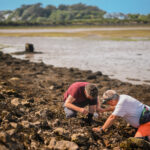 Scientists crouching on Darwin Tree of Life Foreshore Sample Collection