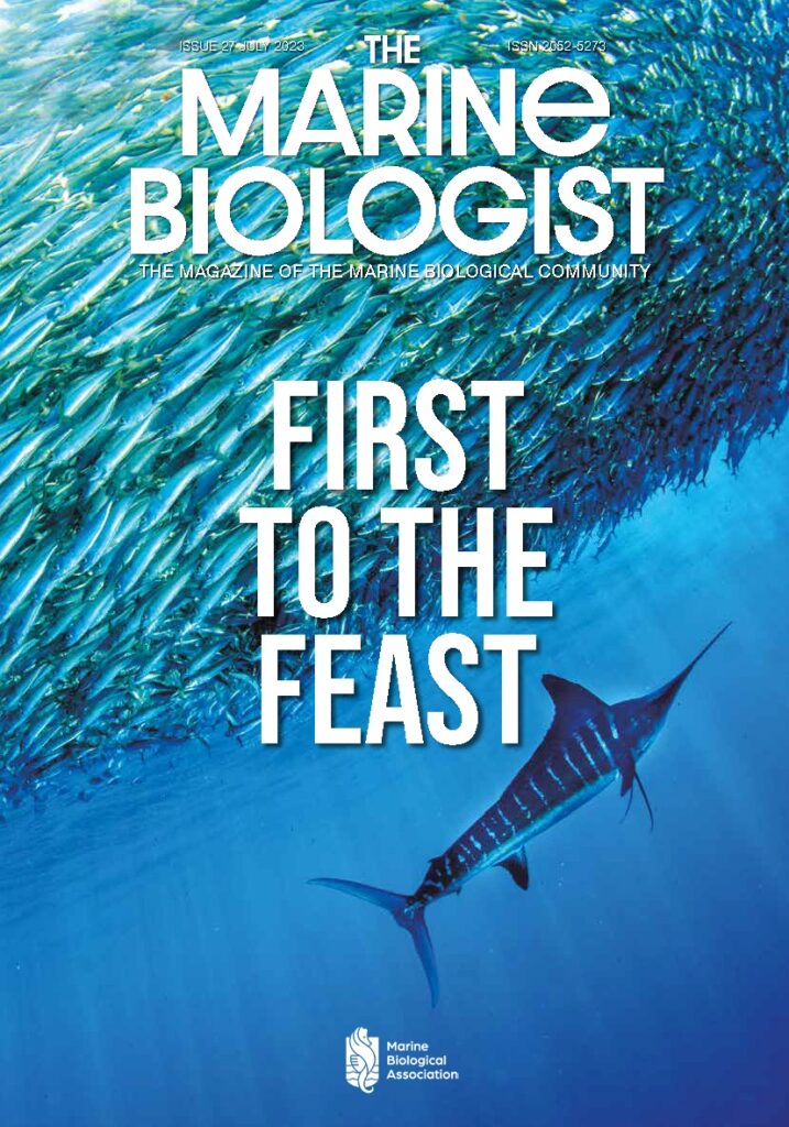 Cover of The Marine Biologist with the titiel "First to Feast"