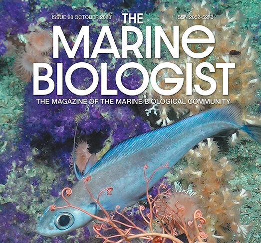 The Marine Biologist Magazine Oct 2023
