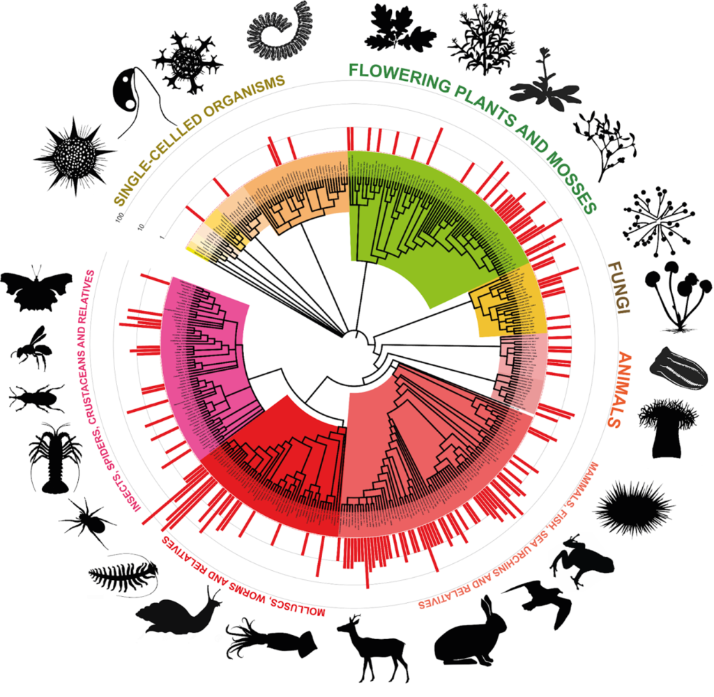 Darwin Tree of Life Graphic: The “tree” here is the taxonomic tree of the organisms analysed, coloured by major group