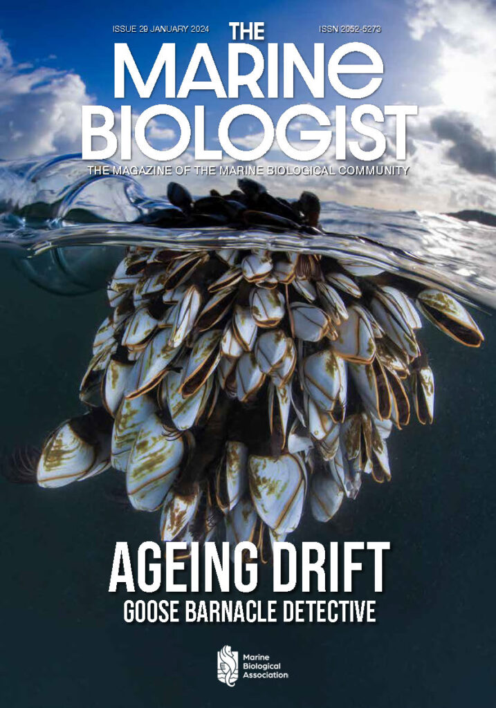 The Marine Biologist Front Cover January 2024 Issue 29