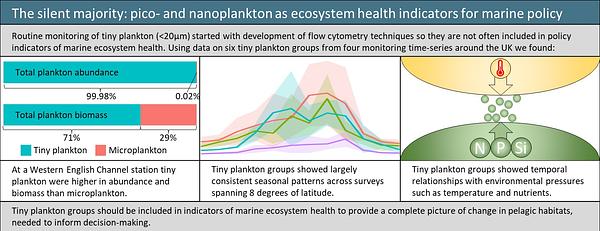 a graphic explaining the research into tiny plankton