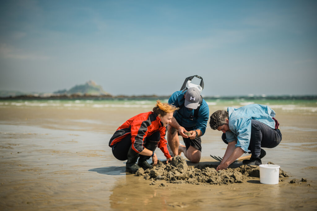 Darwin Tree of Life project foreshore sampling on beach