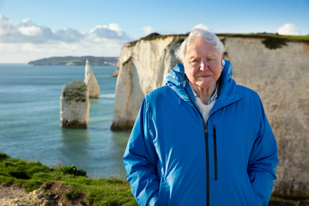 Sir David Attenborough, wearing a blue coat, standing in front of white cliffs with the ocean in the background.