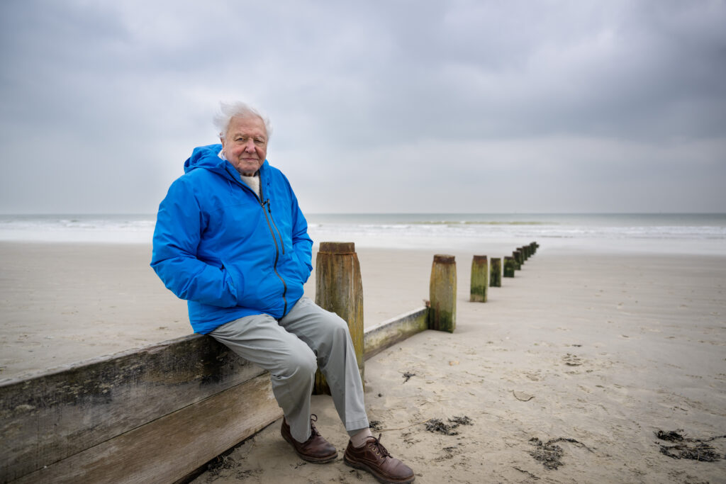 Sir David Attenborough looks out to sea in Southern England. OCEAN WITH DAVID
ATTENBOROUGH highlights the vital, achievable actions the world can take to restore
the ocean
and stabilize the climate, debuting in 2025. (Photo by Conor McDonnell)