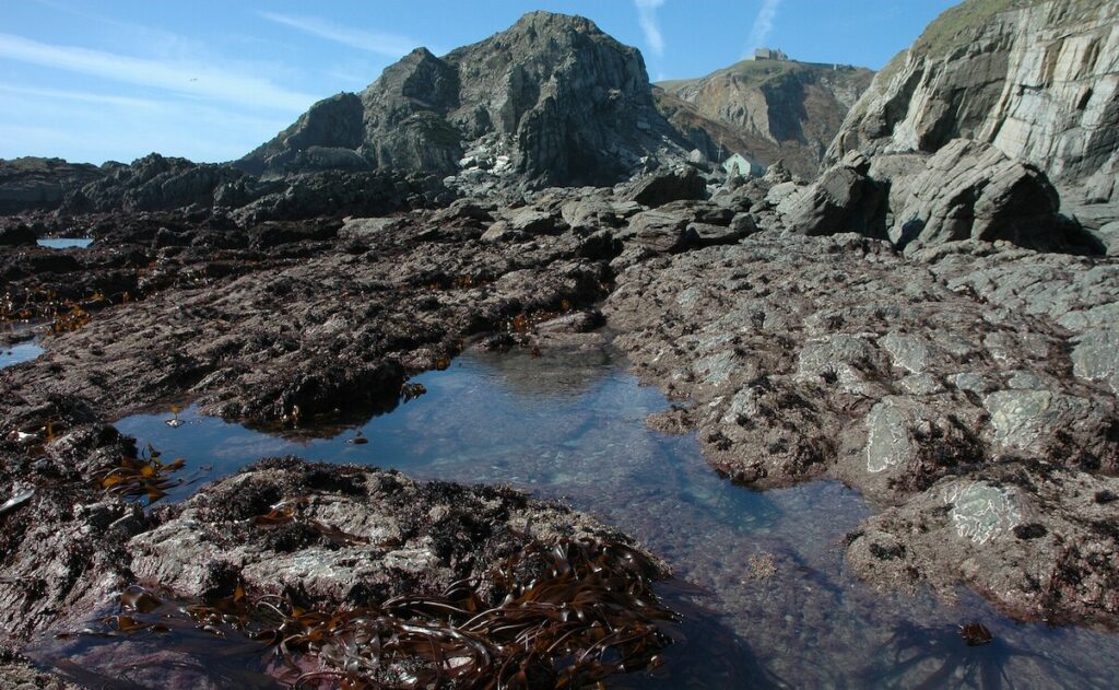 Rocky shore in the sunlight with a rockpool in the foreground.