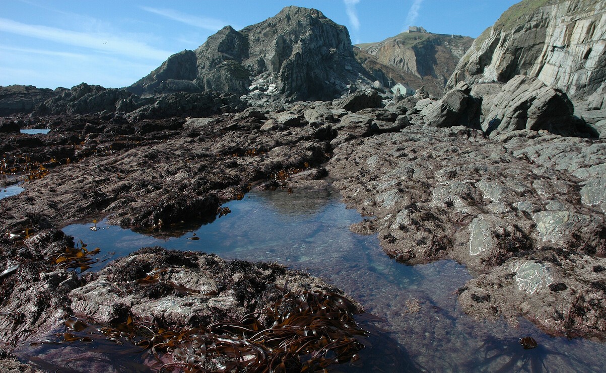 Rocky shore, with a rockpool in the foreground and larger rocks in the background.