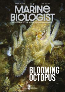 The Marine Biologist magazine cover page, with Blooming Octopus written in bottom right corner and a beautiful yellow octopus.