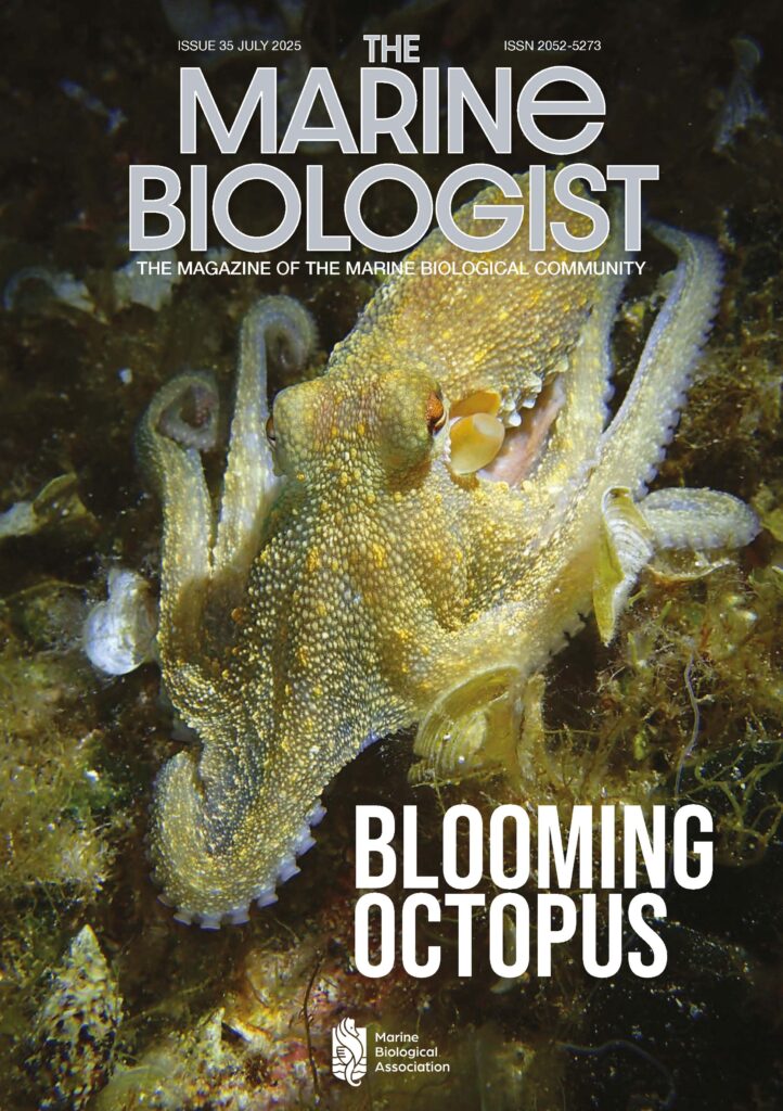 The Marine Biologist magazine cover page, with Blooming Octopus written in bottom right corner and a beautiful yellow octopus.