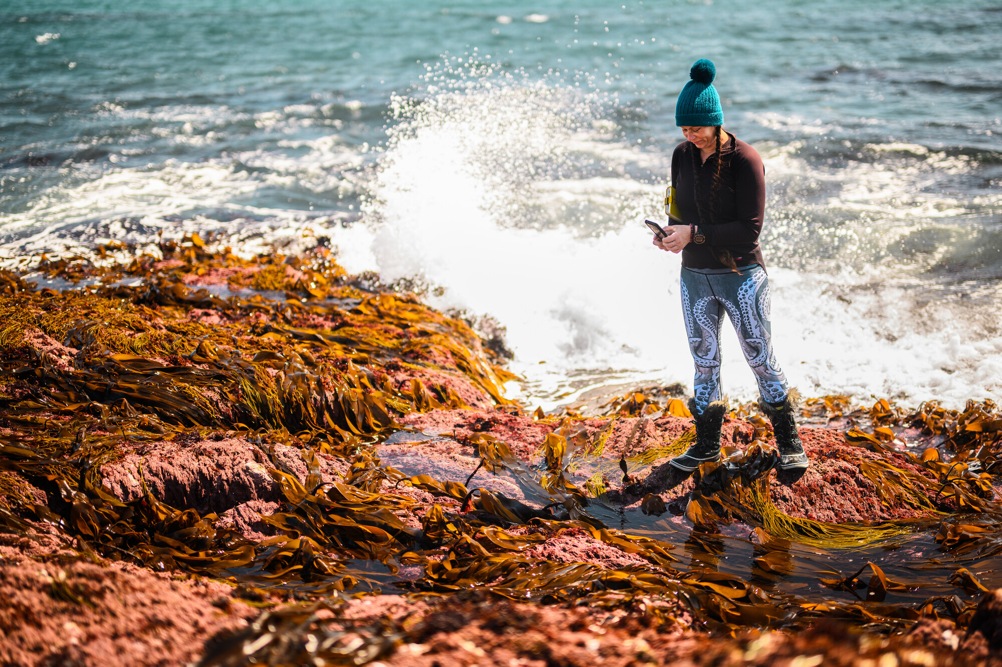 A research scientist looks over the rocky shore