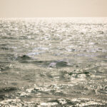 Open ocean seascape.