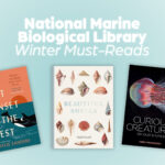 National Marine Biological Library Winter Must-Reads in text, with thumbnail images of three book covers - titled Curious Creatures, Beautiful Shells and The Last Sunset in the West.