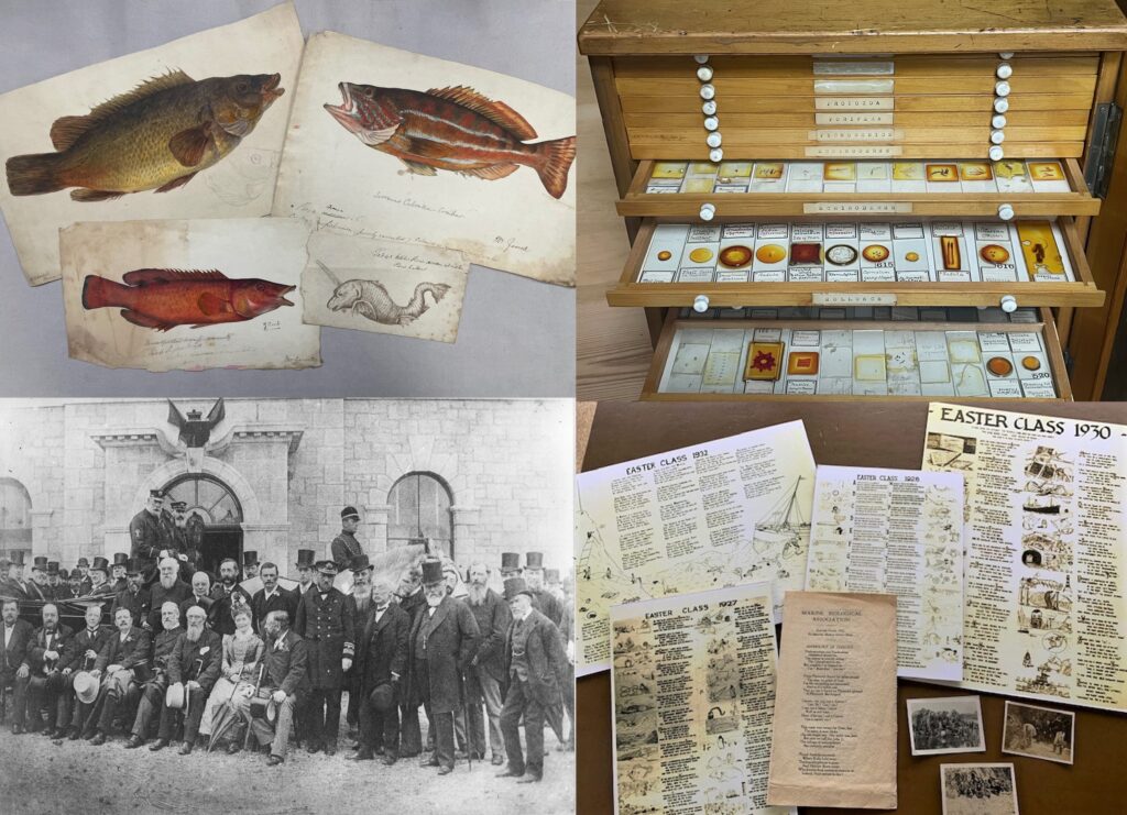 A selection of material from the archive. Top left: hand drawn watercolours of fish for William Yarrell’s ‘A History of British Fishes’; top right – a drawer of histological specimens; bottom left – photograph of the opening of the MBA in 1888; bottom right – material from the MBA Easter Classes.