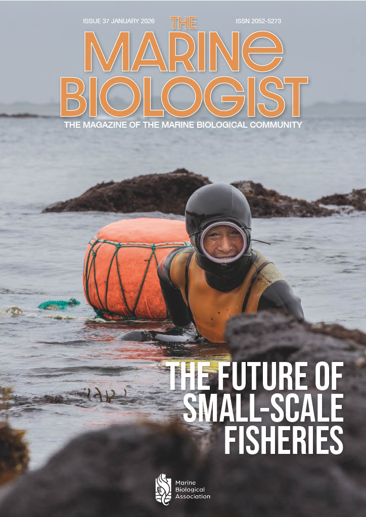 A Haenyeo woman emerging from the sea in the South Korean province of Jeju. Haenyeo are female divers
who make a living harvesting
crustaceans, molluscs, seaweed, and other marine life. © Jung Hyewon (정혜원).
Image in \Cover images
