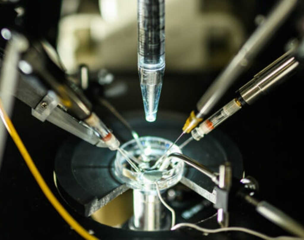 Fine needles on the end of plastic and metal pen-like instruments are placed on a single cell (not seen) under a microscope.