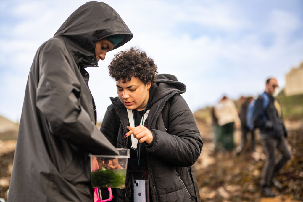 Two people in hooded coats stand on the rocky shore and bend over to look inside a clear plastic box containing water and seaweed.