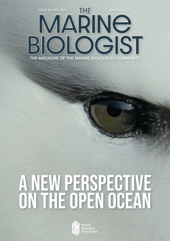 Close-up of the deep sea green eye of an albatross. eye of an albatross, 