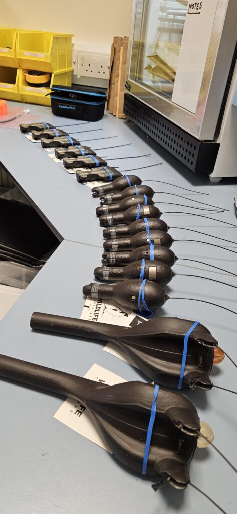 A row of black satellite whale shark tags, that look in shape like a rounded walkie-talkie with an antennae coming out of the top.