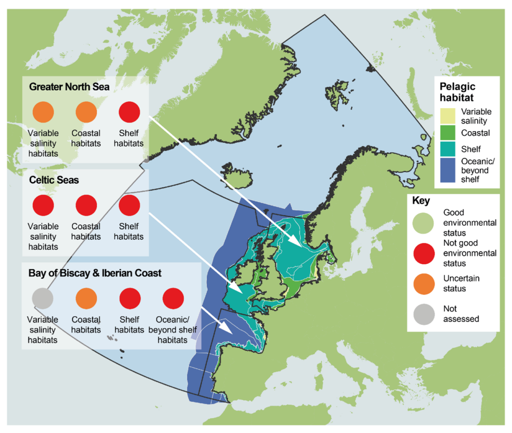 Map of the North East Atlantic showing the environmental state of the pelagic habitat