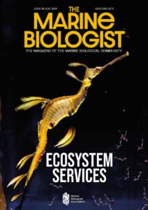 Cover of The Marine Biologist Magazine issue 39 with dad seahorse on front