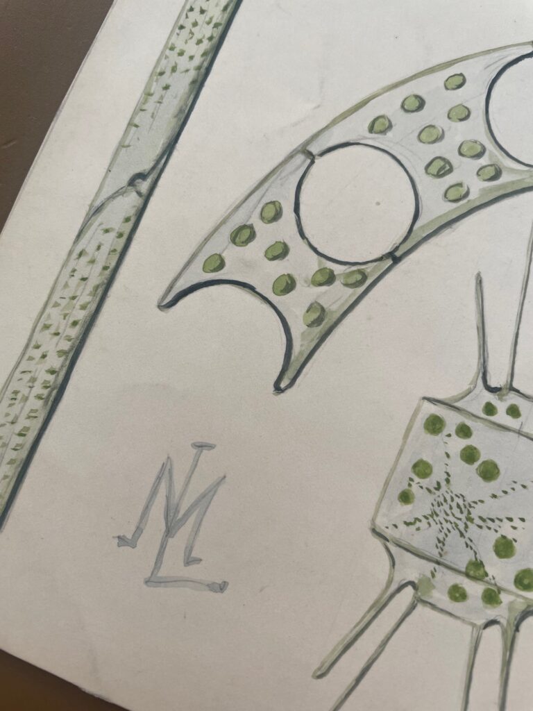 Dr Marie Lebour's illustration of diatoms.