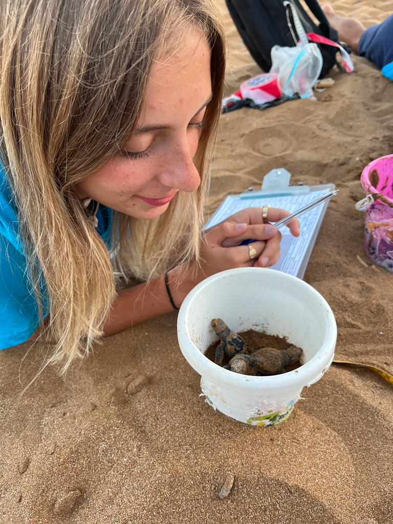 Fleur Denis on previous turtle conservation work