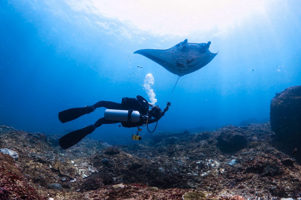 Photo of MBA Prize Winner Fleur Denis diving from her time researching with the IndoOcean Project. Photo courtesy of Divo Ario.