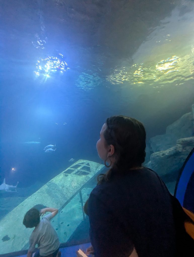 Young Marine Biologist (YMB) Member Ellie Poulton recently attended the Field Studies Council's Marine Science Camp at Slapton Ley, Devon, where she expanded her knowledge of marine life and ocean science.