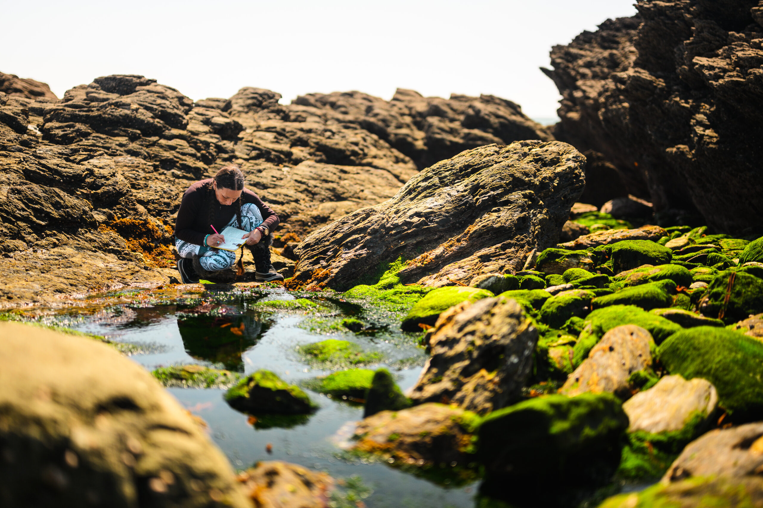 Dr Nova Mieszkowska observing topshell populations at Prawle Point rocky shore