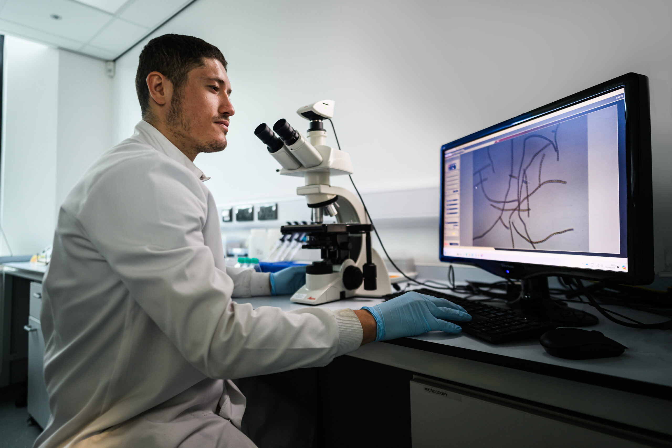 Yousef Touhami Research Technician Microscopy of diatoms