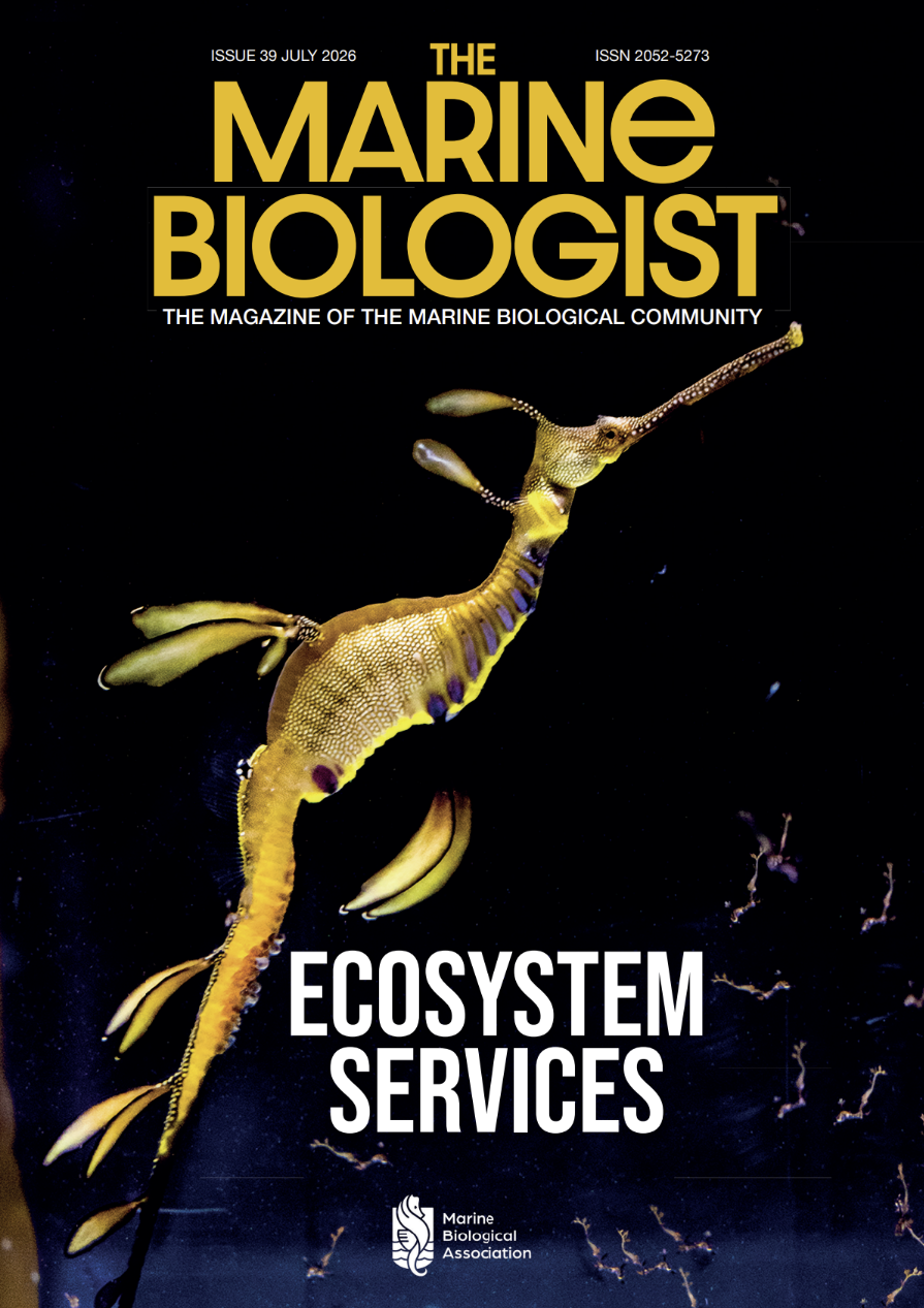 The Marine Biologist Issue 39
