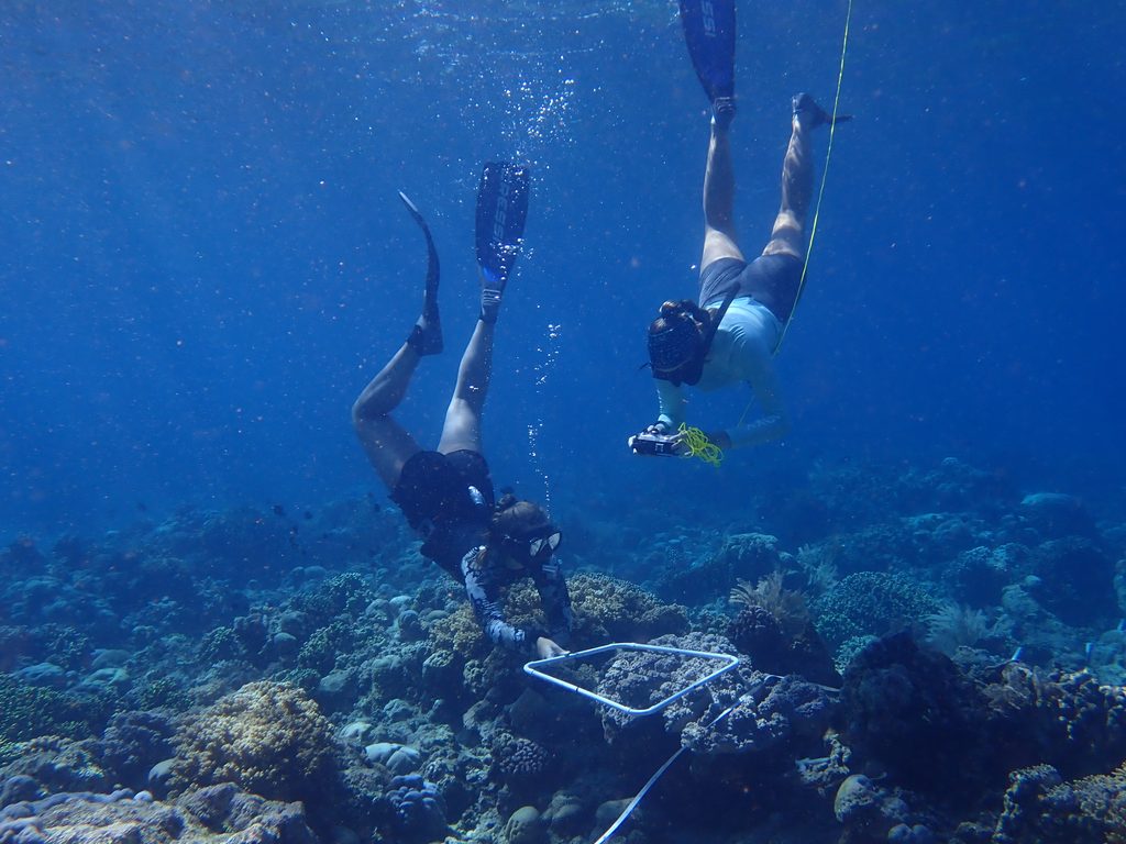 Benthic survey Molly Blyth photo by Dr. Miriam Reverter