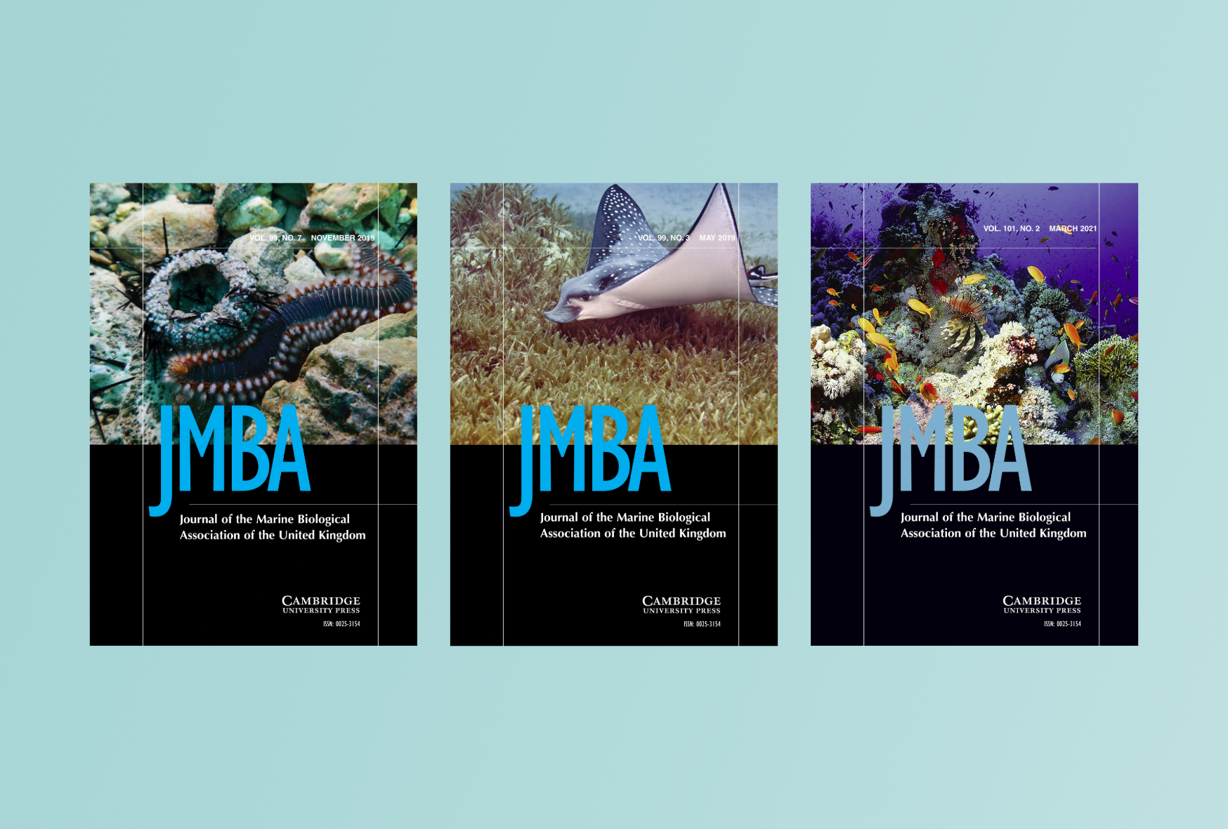 JMB COVER