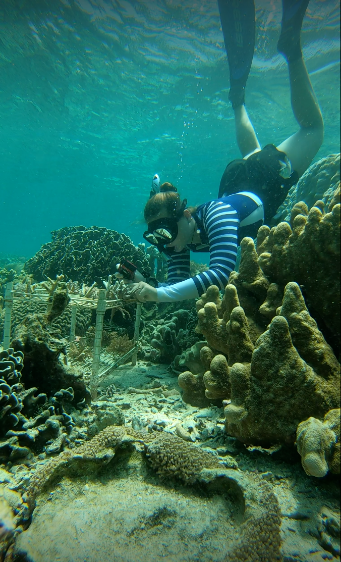 MBA Postgraduate Member Molly Blyth on coral reef research. Photo by Molly Blyth